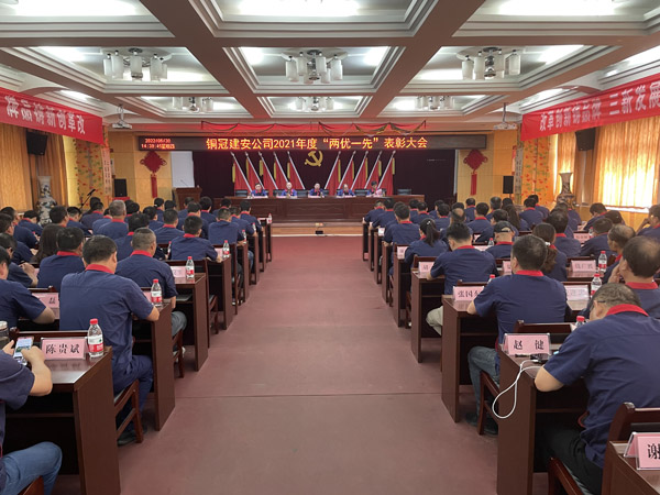 公司召開“兩優一先”表彰大會 公司召開“兩優一先”表彰大會